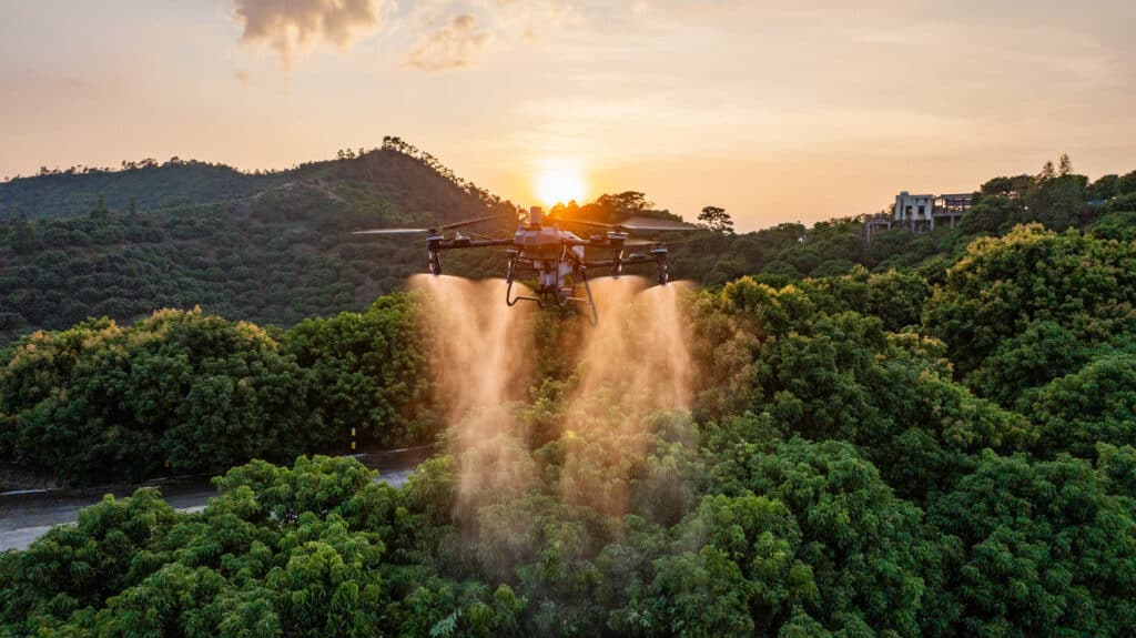 DJI Agras T70P pulverizando